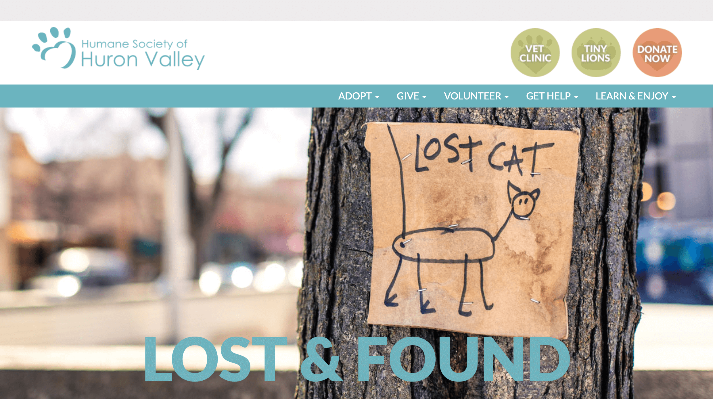 A lost cat poster is attached to a tree trunk